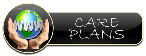 care plan pricing